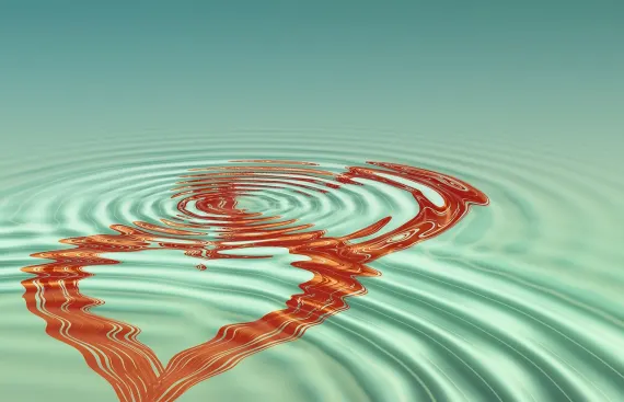 Fortune Kazino Pagalba